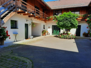 Loftartige Wohnung in Scheibbs mit Schwimmteich